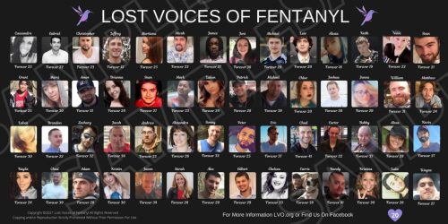 Lost Voices of Fentanyl
