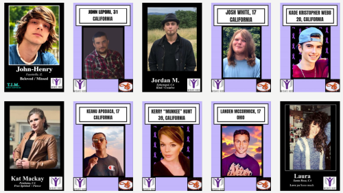 ltf5