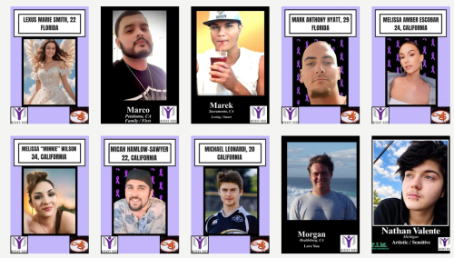 ltf6